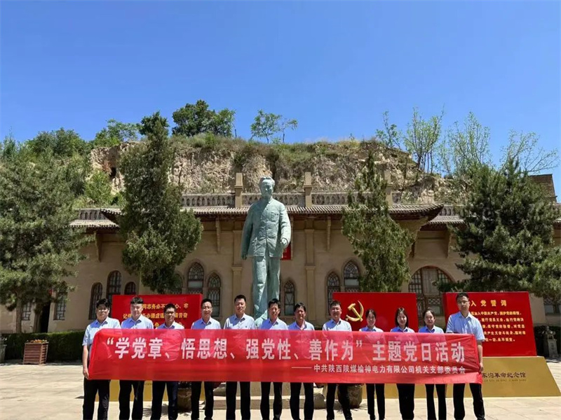 榆神電力公司開展“學(xué)黨章、悟思想、強黨性、善作為”主題黨日活動.jpg