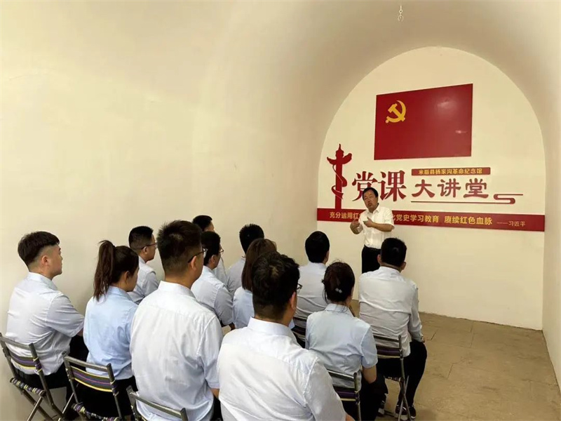 榆神電力公司開展“學(xué)黨章、悟思想、強黨性、善作為”主題黨日活動（3）.jpg